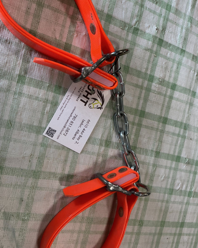 Hobbles Biothane Orange 