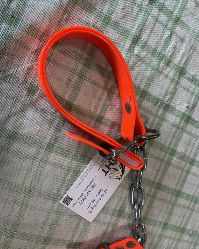 Hobbles Biothane Orange 