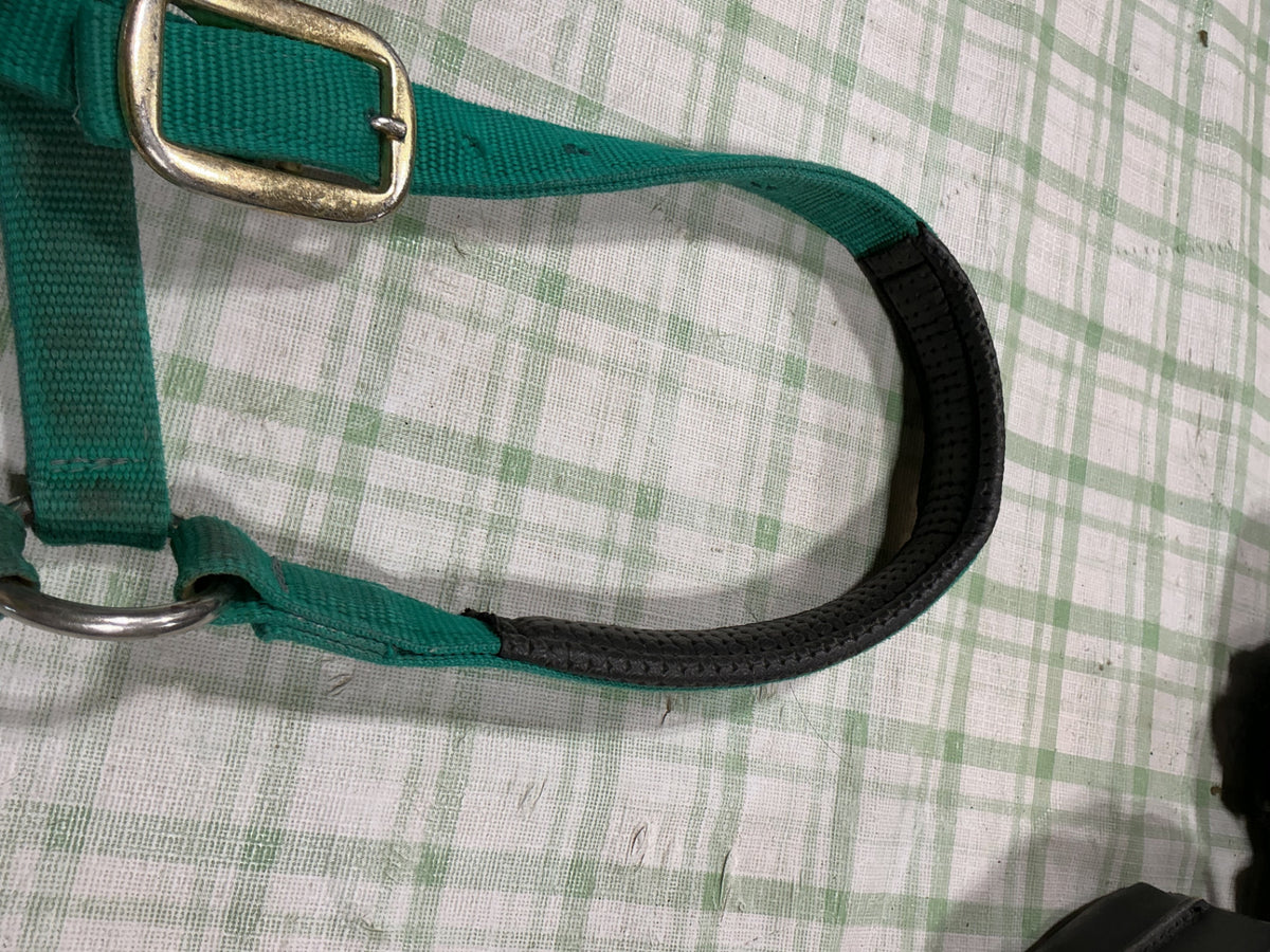 halter nylon green horse size 