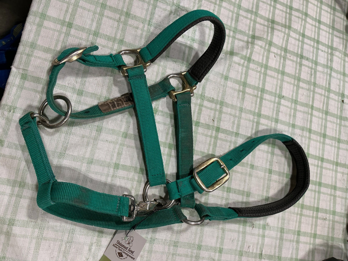 halter nylon green horse size 