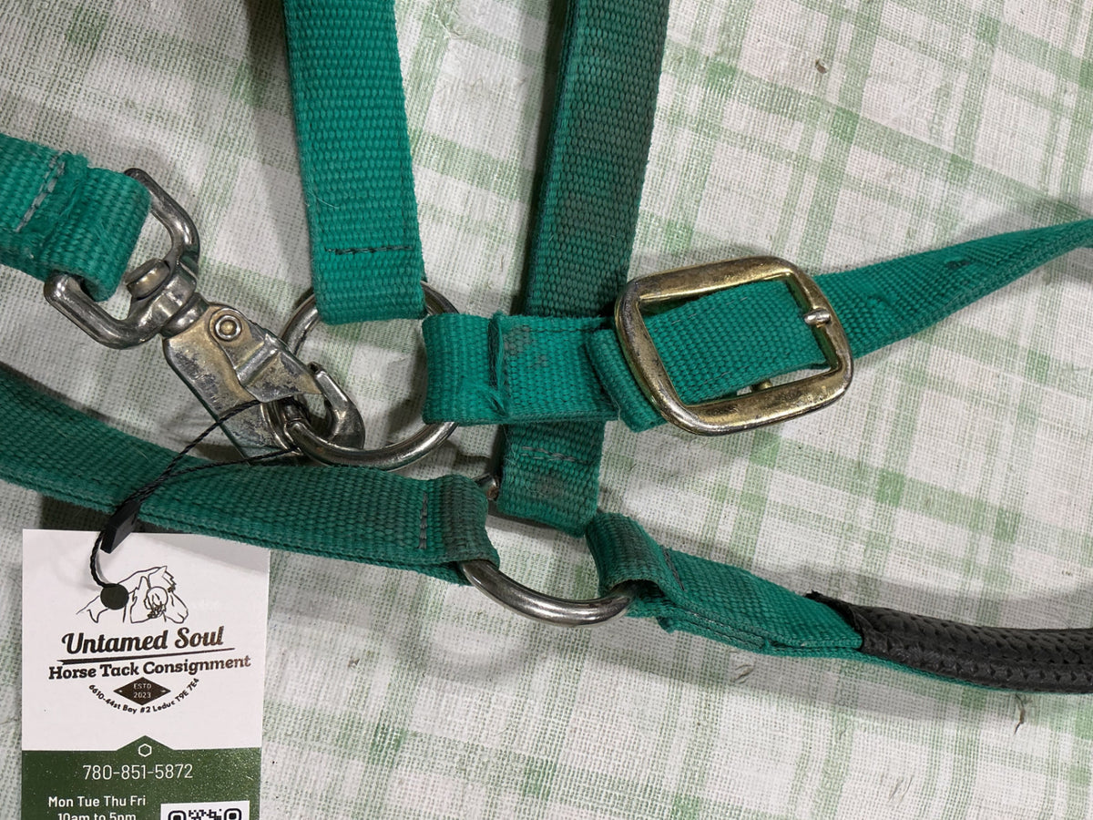 halter nylon green horse size 