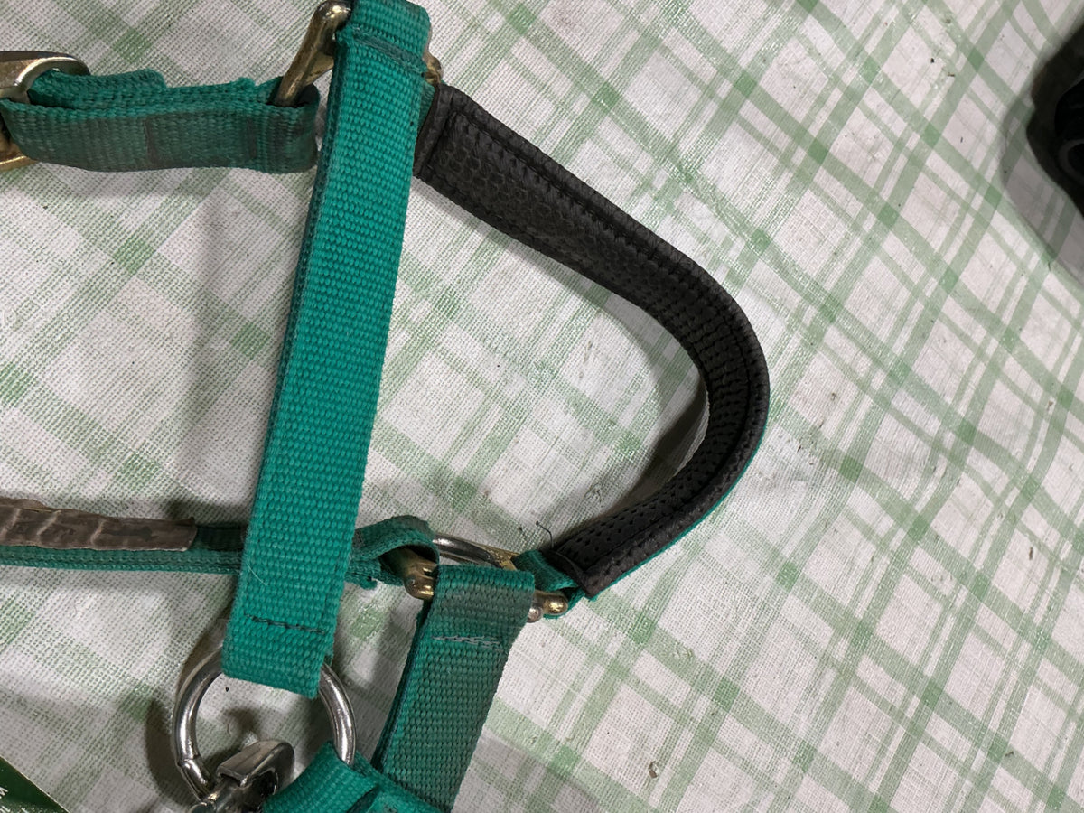halter nylon green horse size 