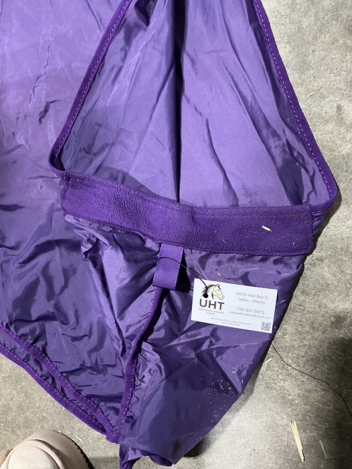 horse bib purple large
