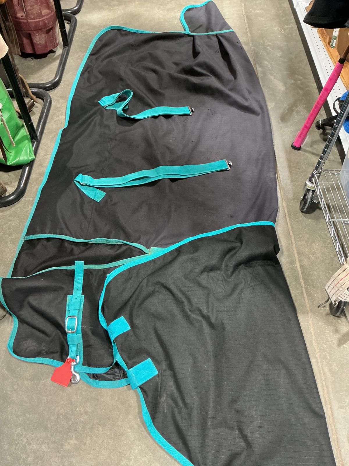 horse blanket 74"