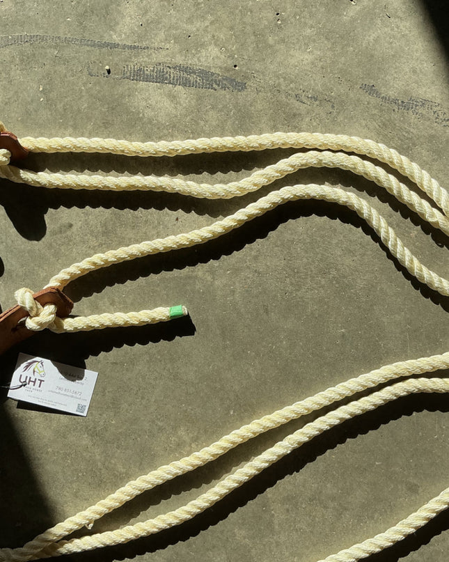 western bridle one ear with reins and bit 