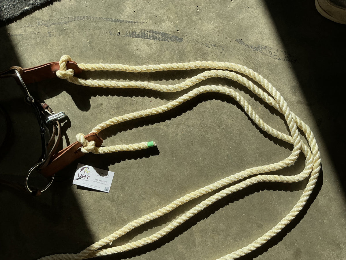 western bridle one ear with reins and bit 