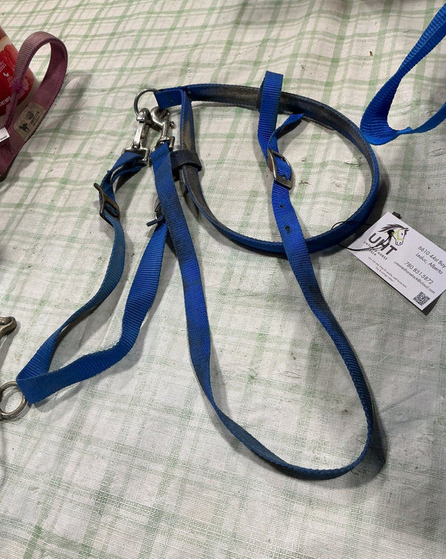 tie down nylon blue 