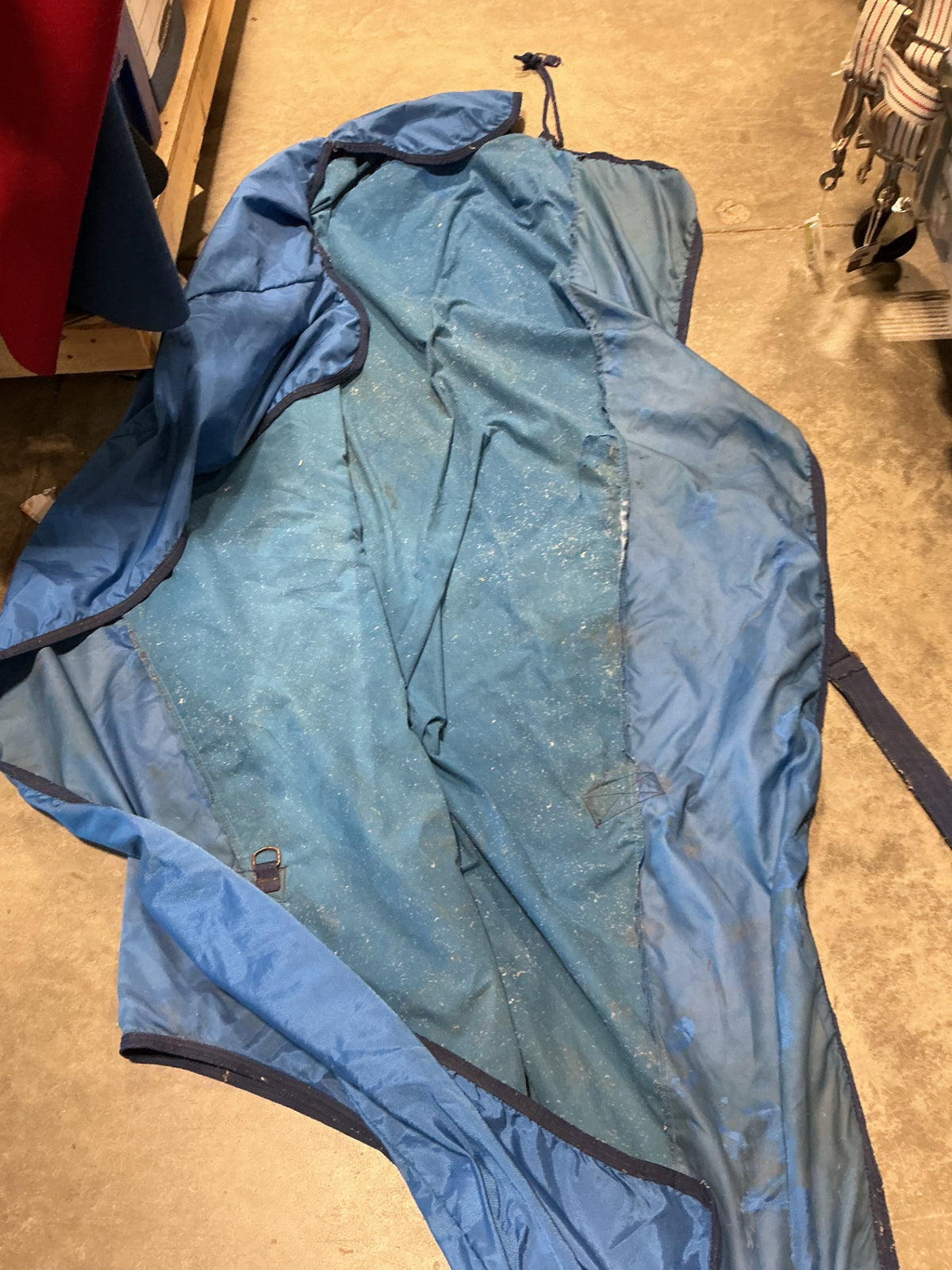 stable sheet blue 82" bucas