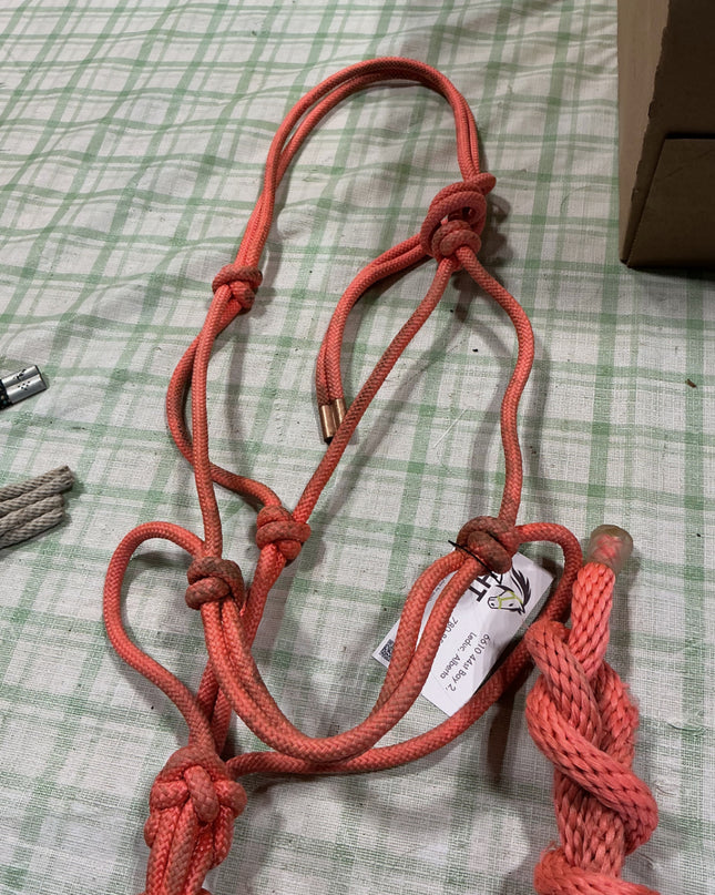 halter rope pink with lead 