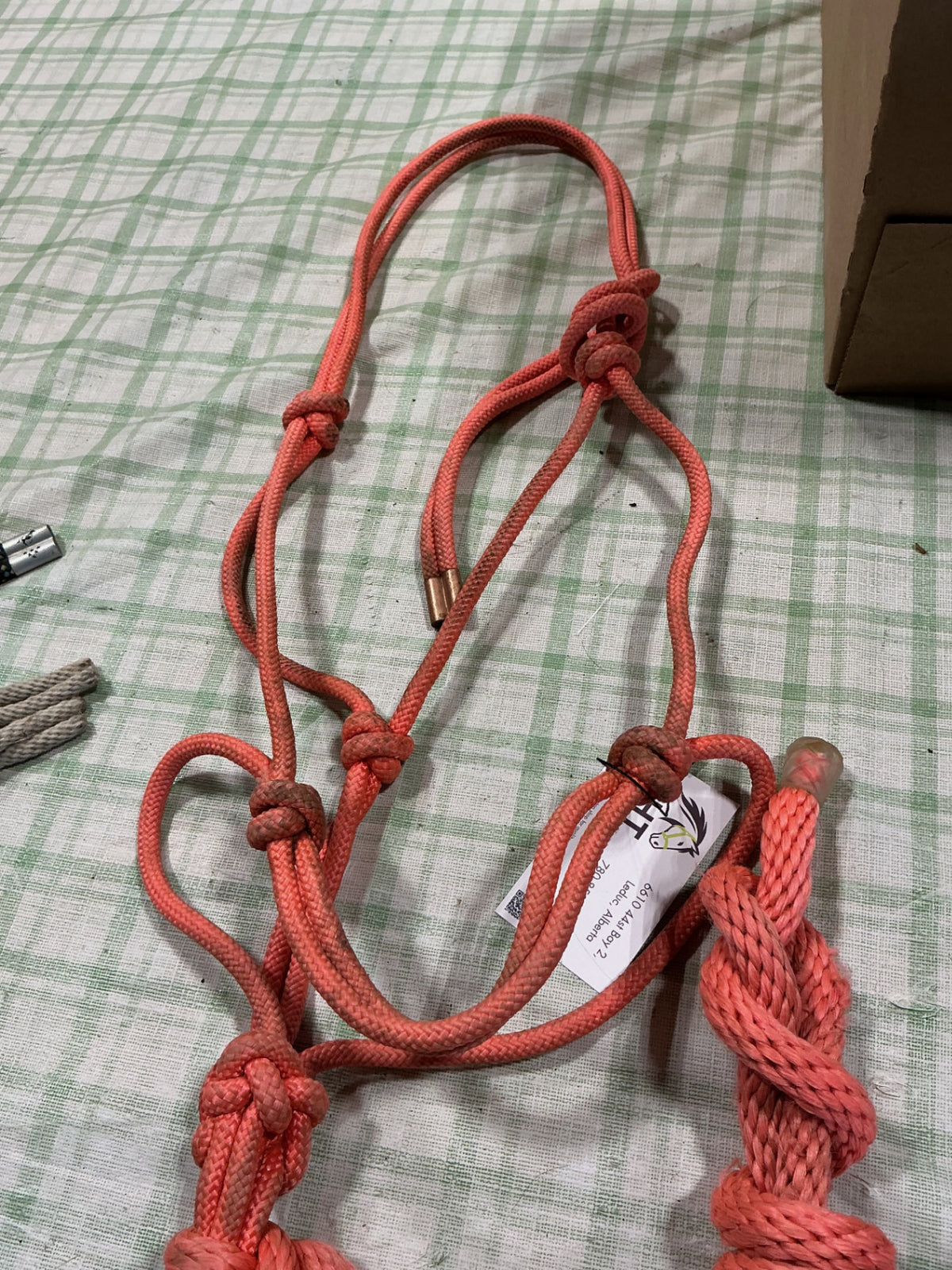 halter rope pink with lead 
