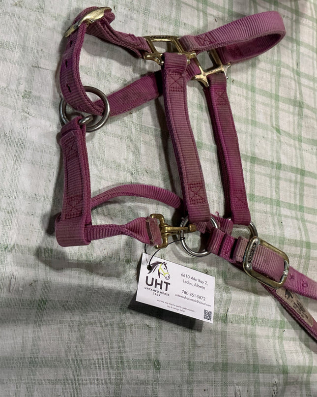 halter nylon pink horse size 