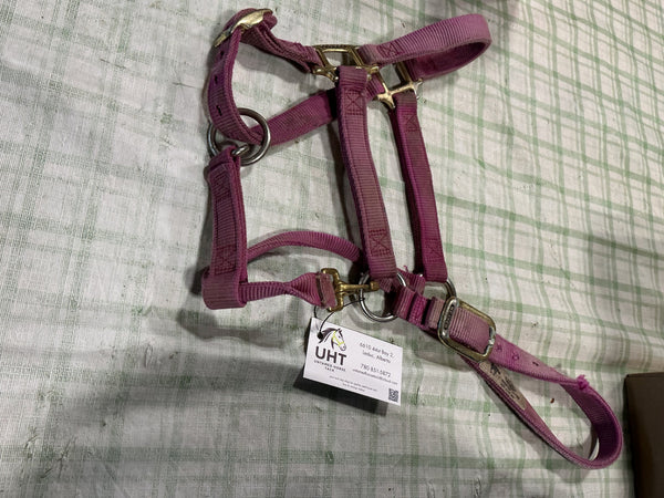 Halter – Weaver Nylon, Pink, Horse Size | Used, Good