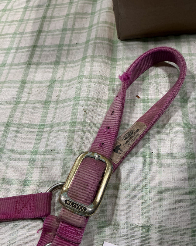 halter nylon pink horse size 