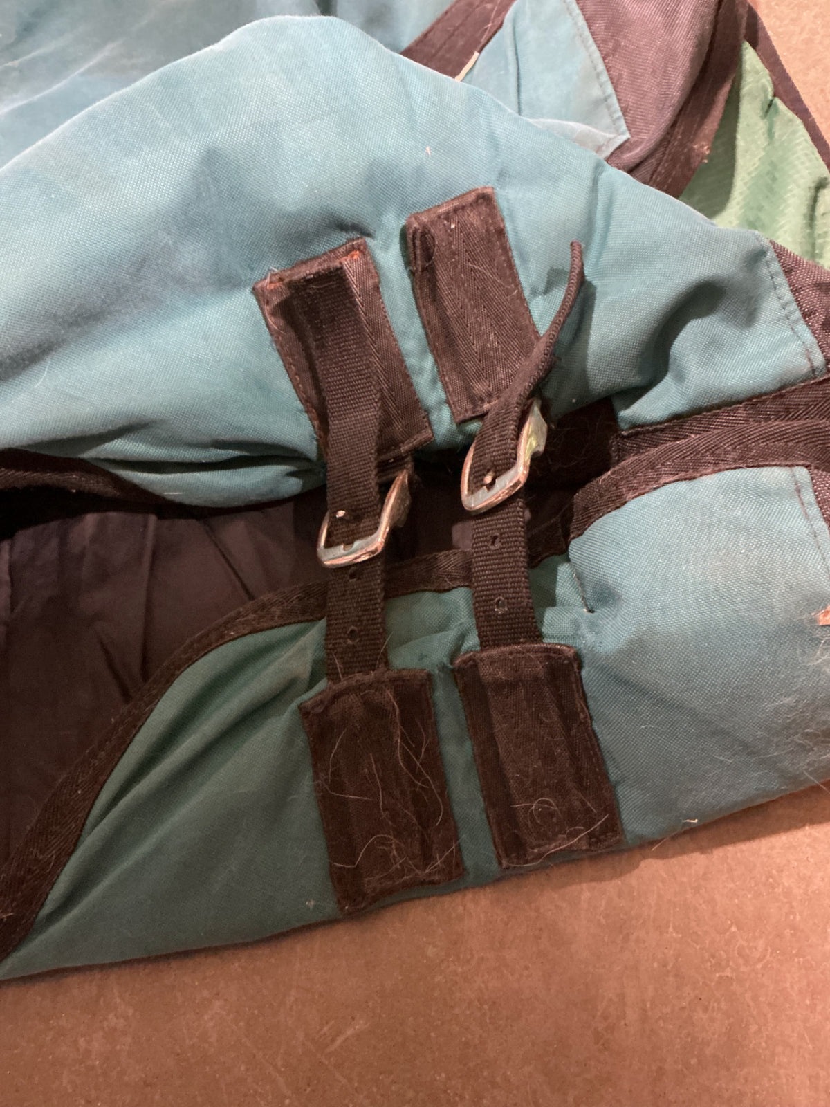 winter blanket teal 64"