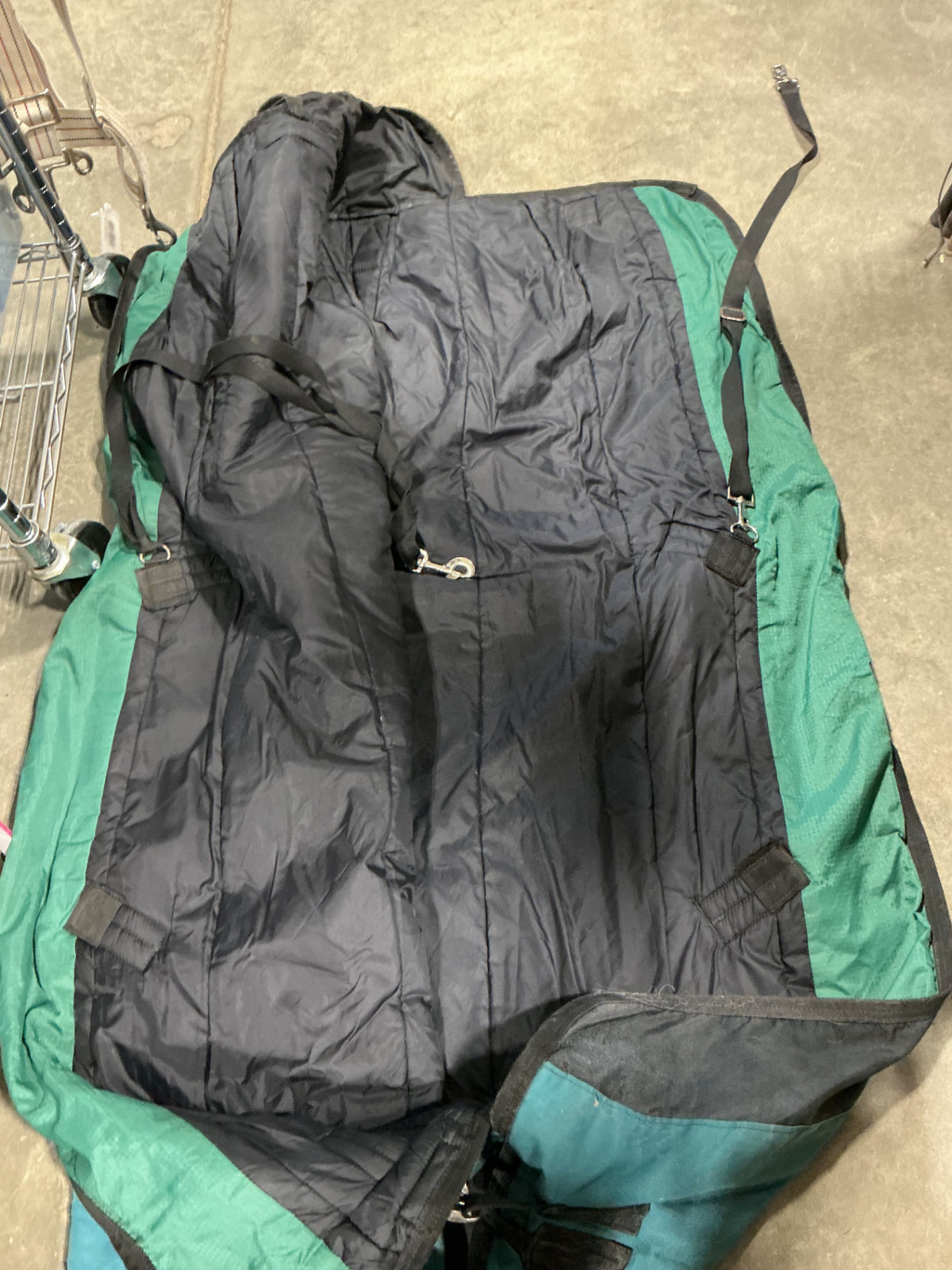 winter blanket teal 64"