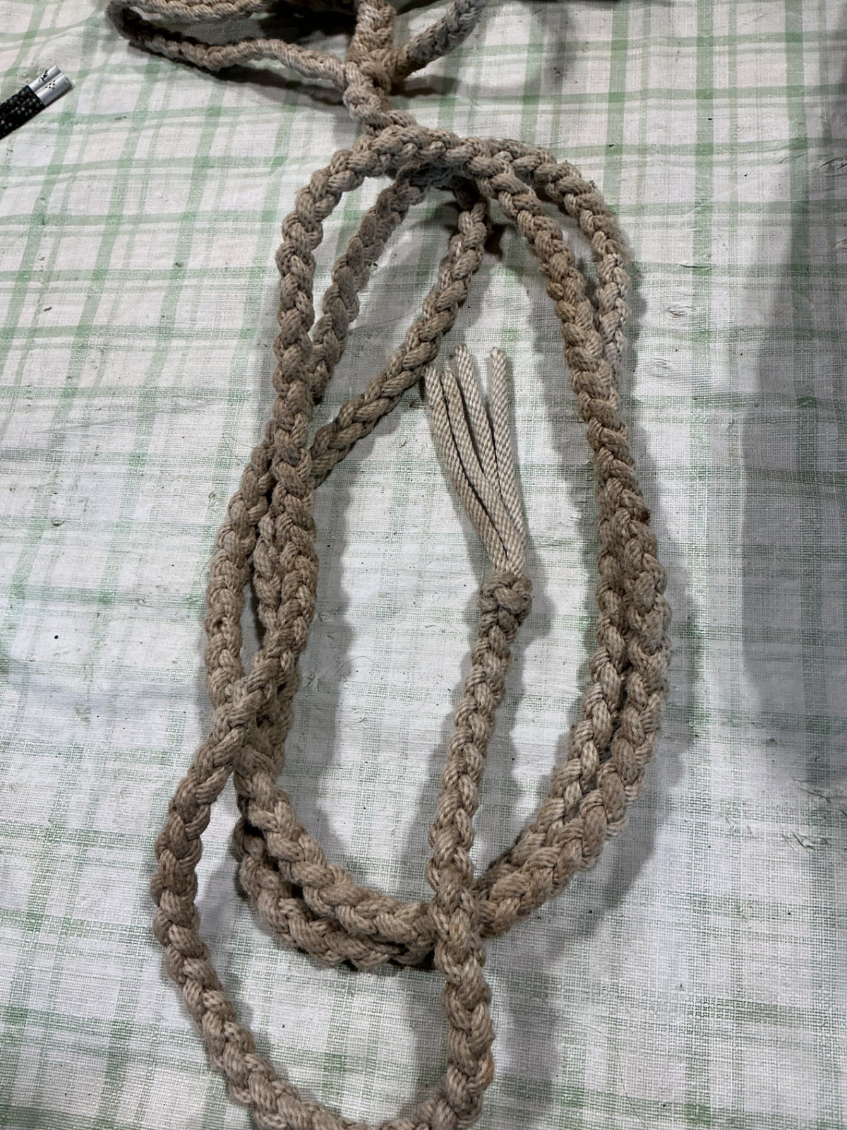 halter rope polynylon 