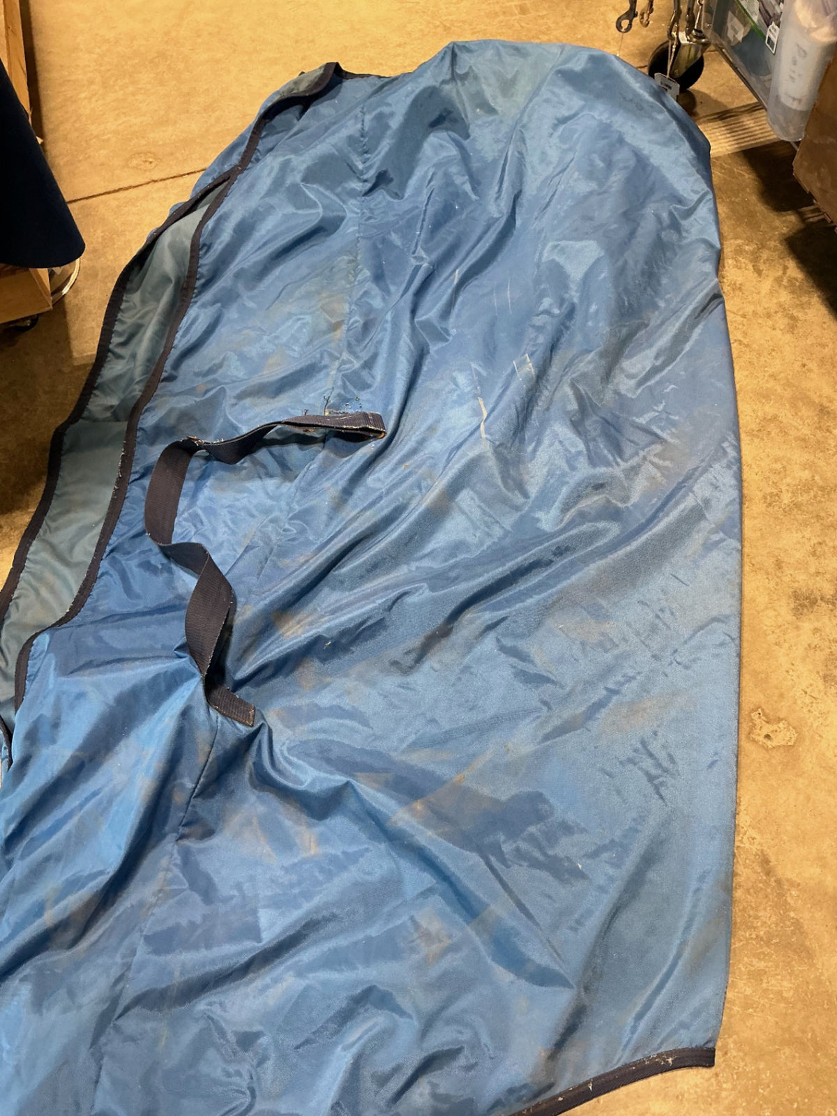 stable sheet blue 82" bucas