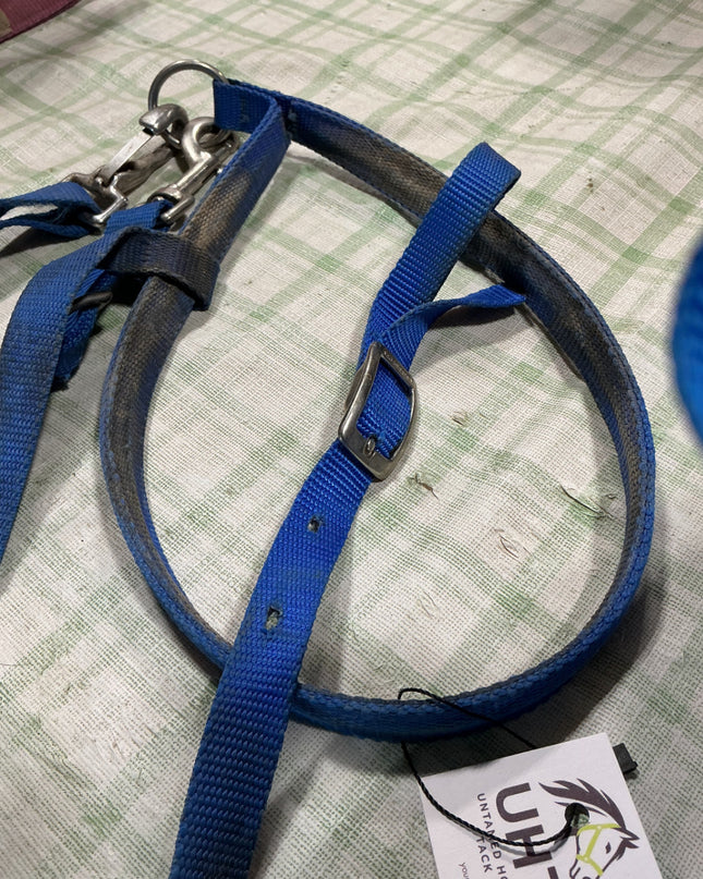 tie down nylon blue 