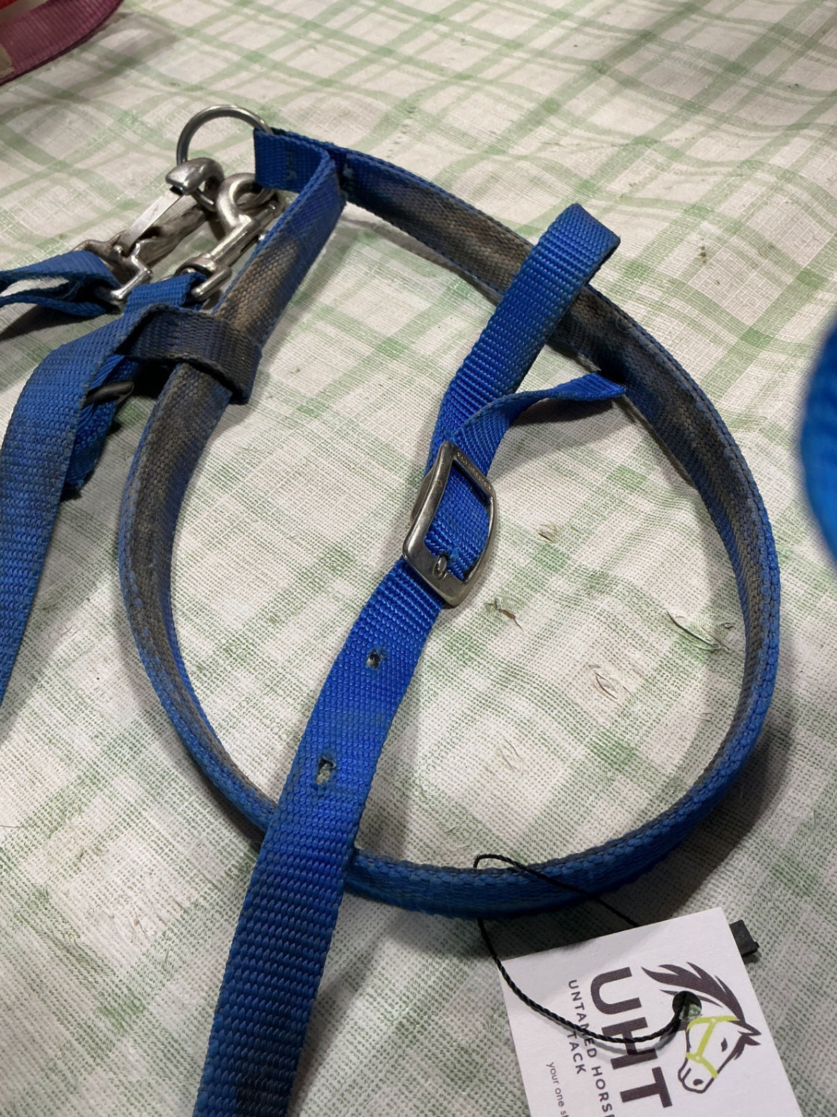 tie down nylon blue 