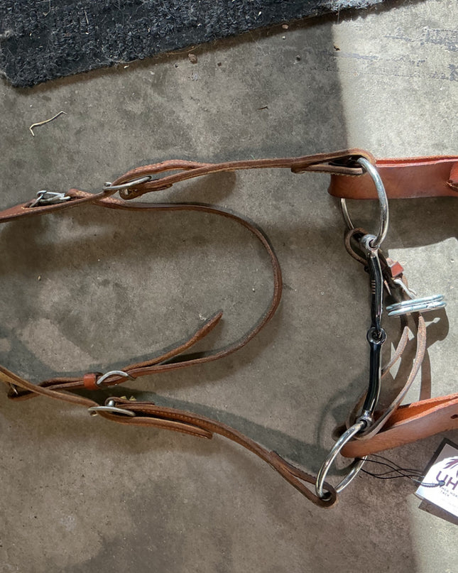 western bridle one ear with reins and bit 