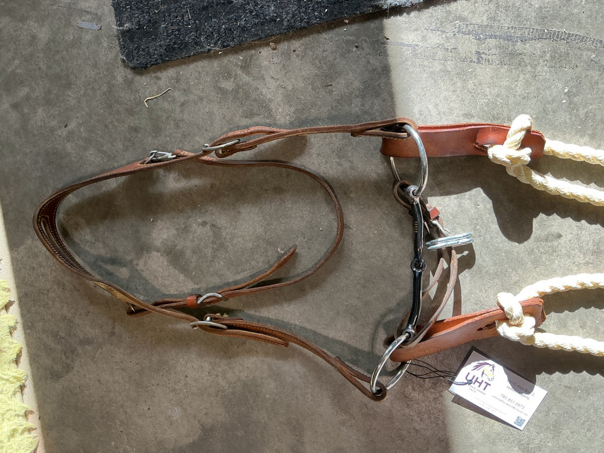 western bridle one ear with reins and bit 