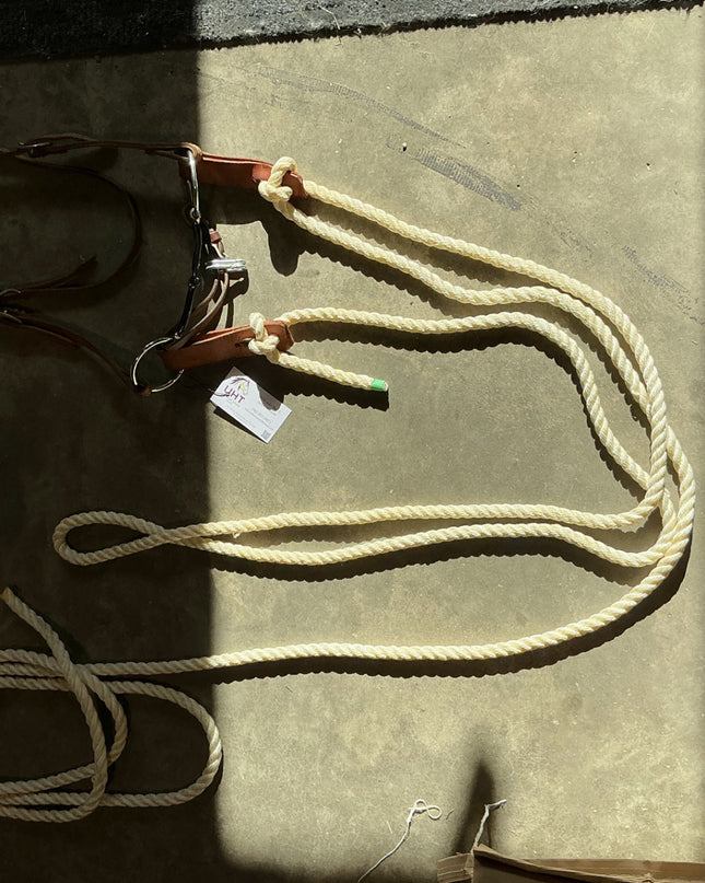 western bridle one ear with reins and bit 