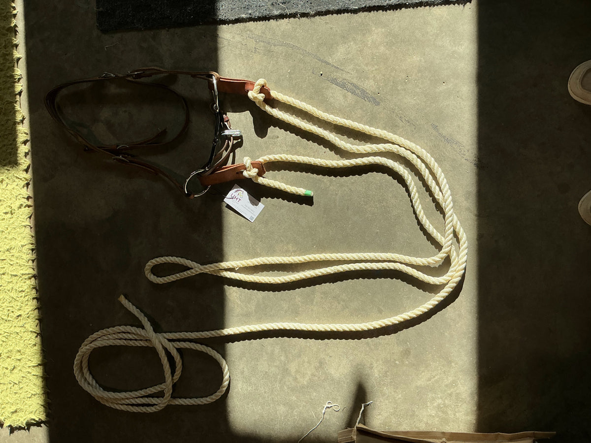 western bridle one ear with reins and bit 