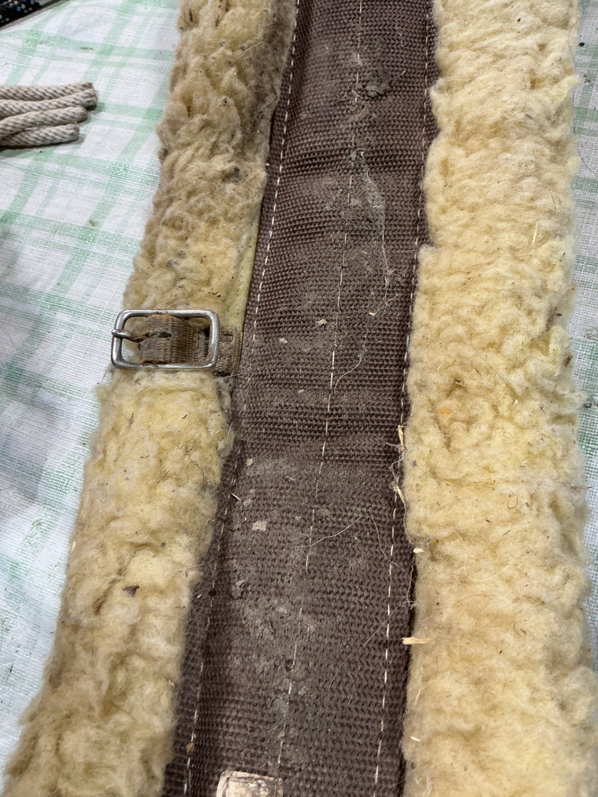 western cinch 32"