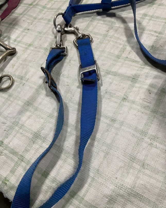 tie down nylon blue 