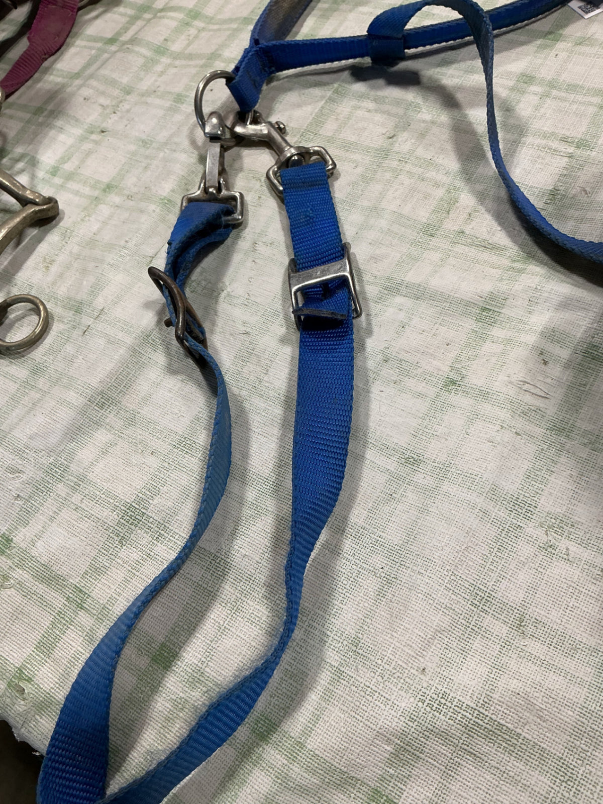 tie down nylon blue 