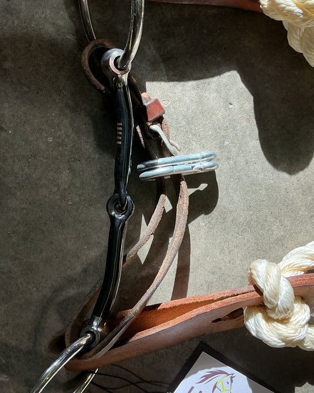 western bridle one ear with reins and bit 