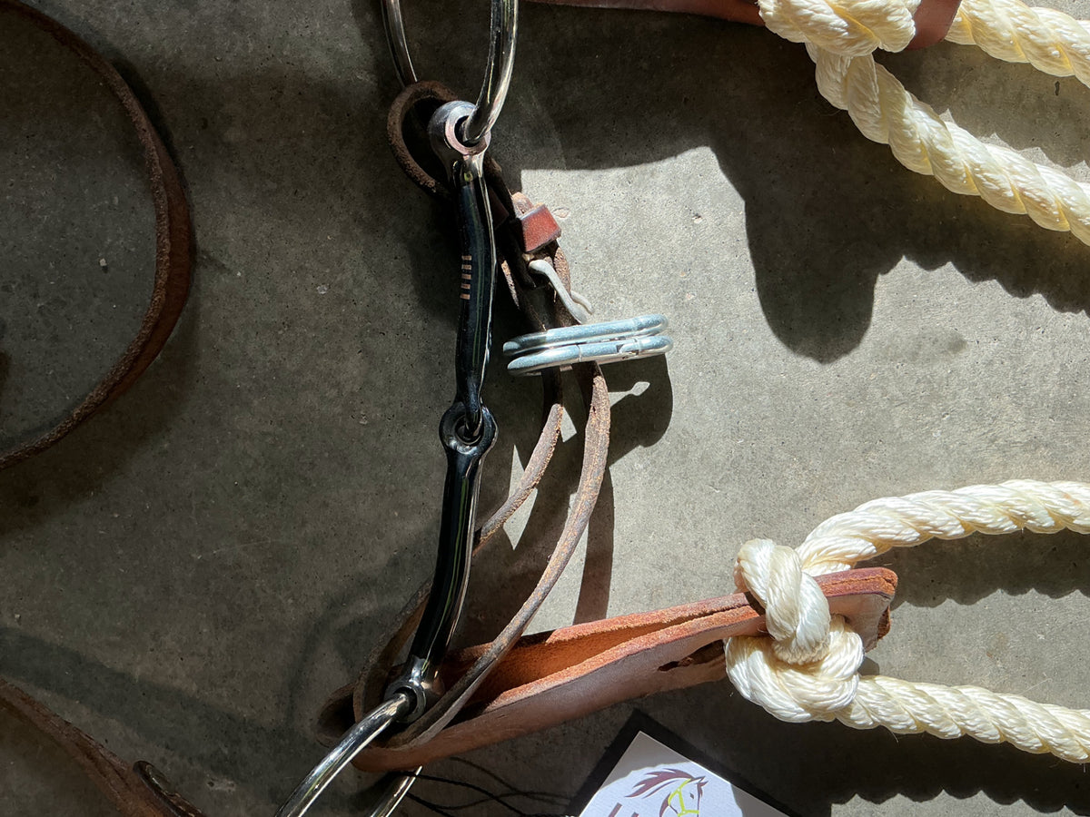 western bridle one ear with reins and bit 