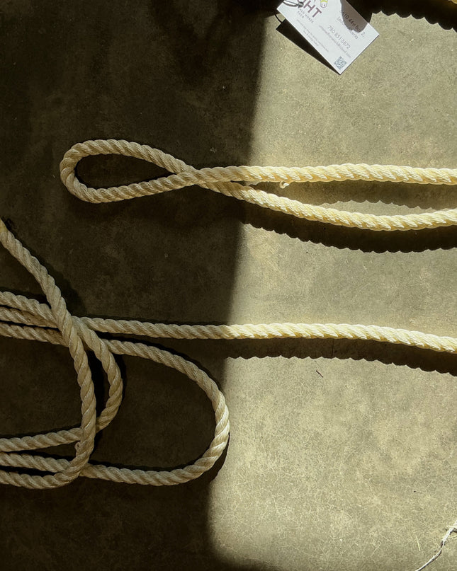 western bridle one ear with reins and bit 