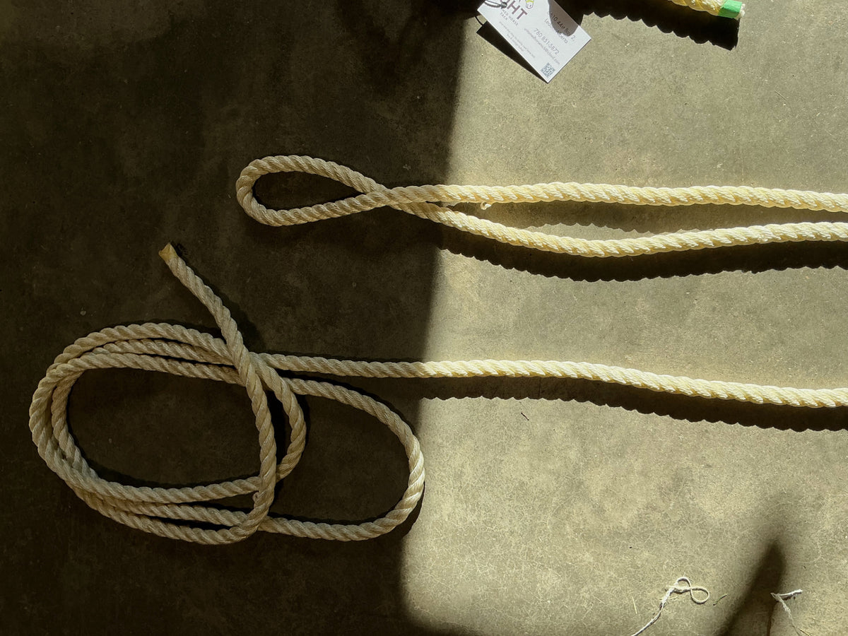 western bridle one ear with reins and bit 