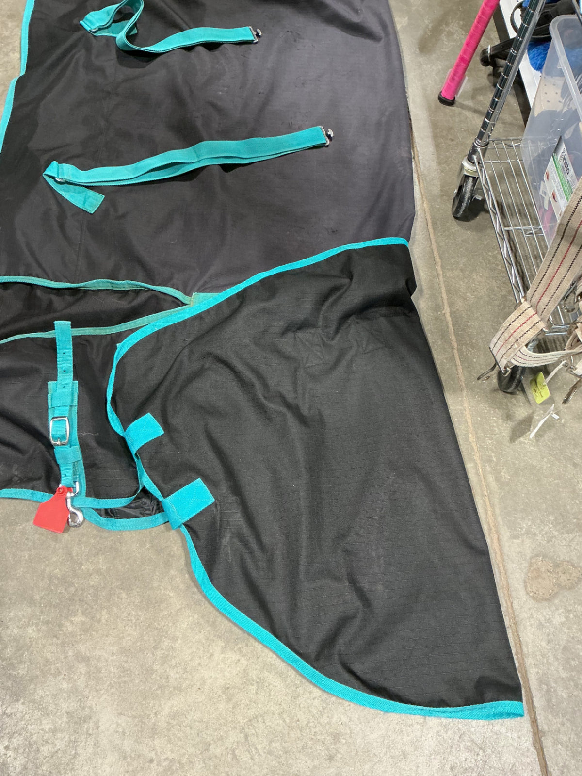 horse blanket 74"