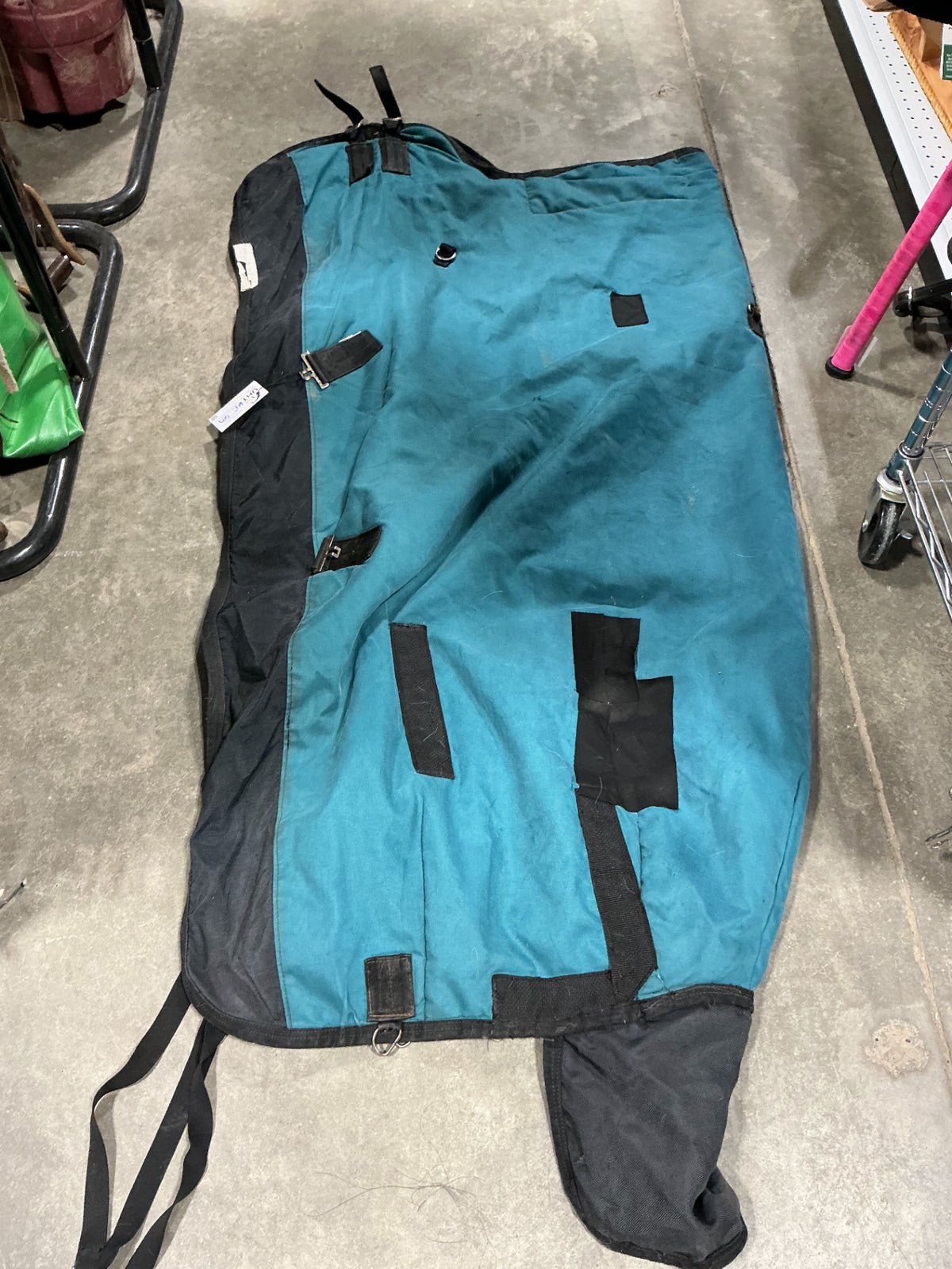 winter blanket teal 64"
