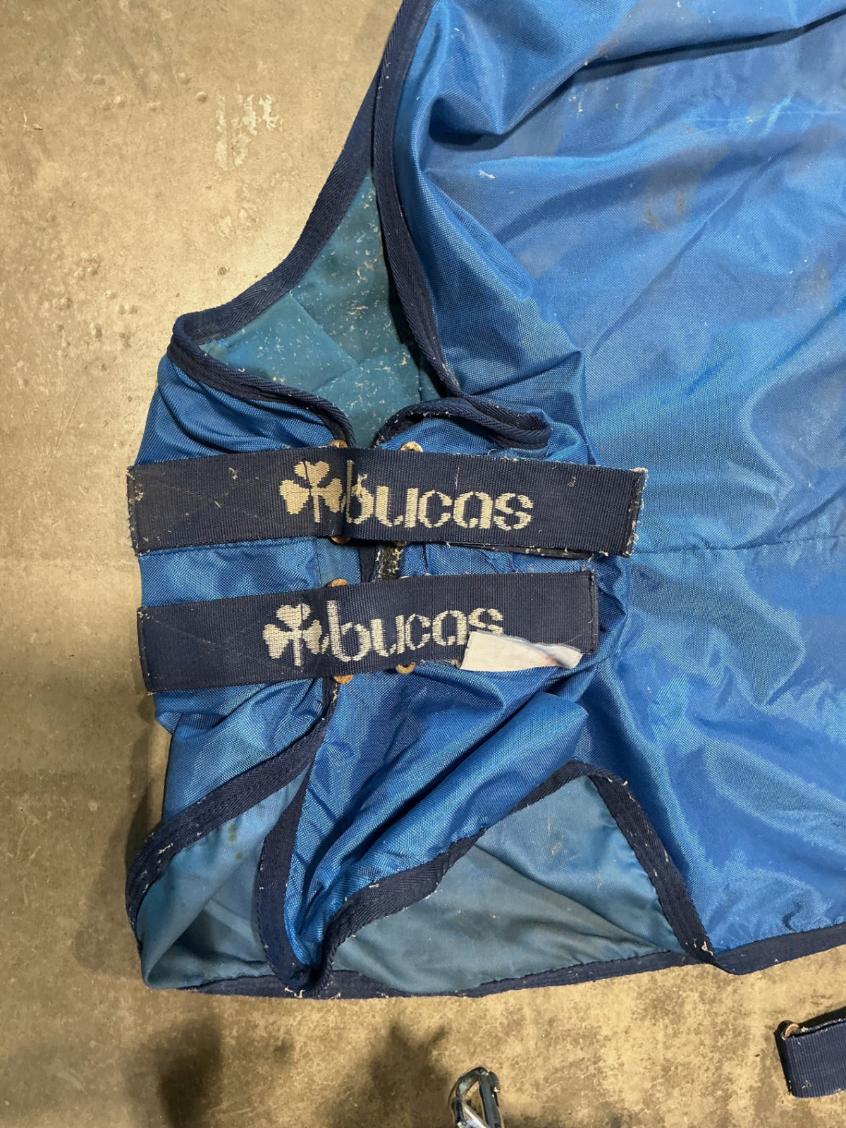 stable sheet blue 82" bucas