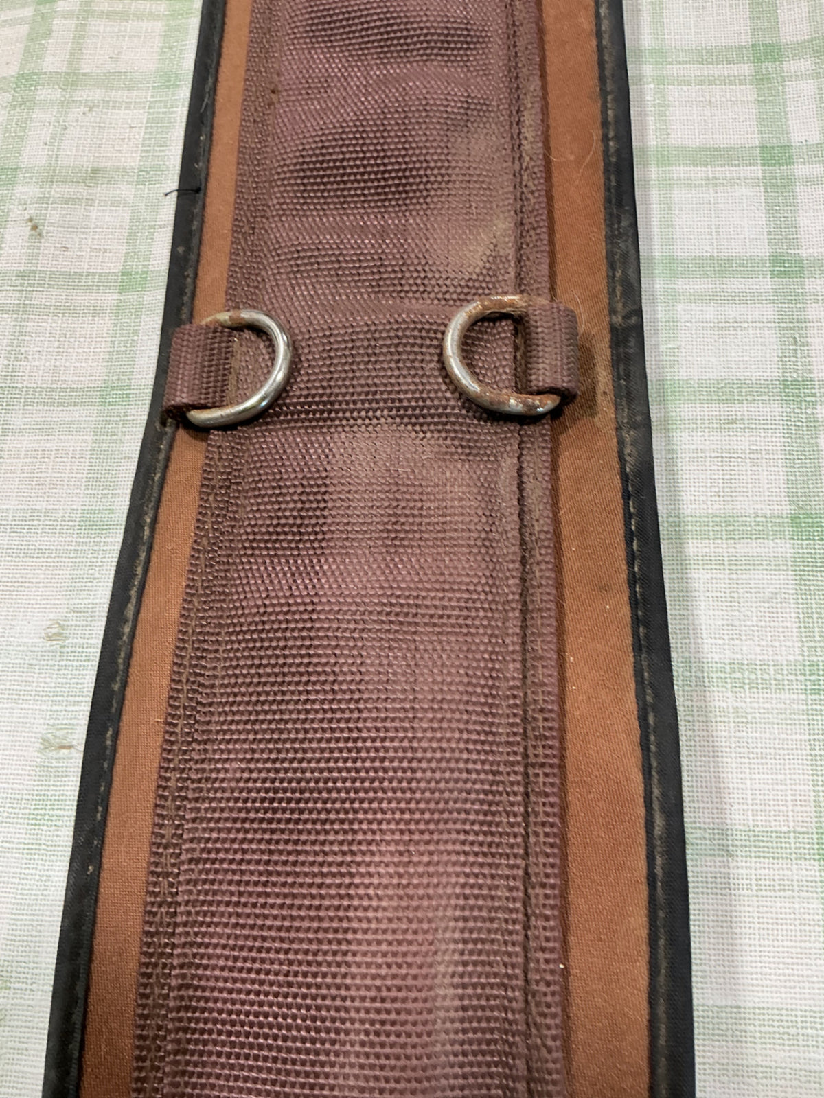 western cinch 30"