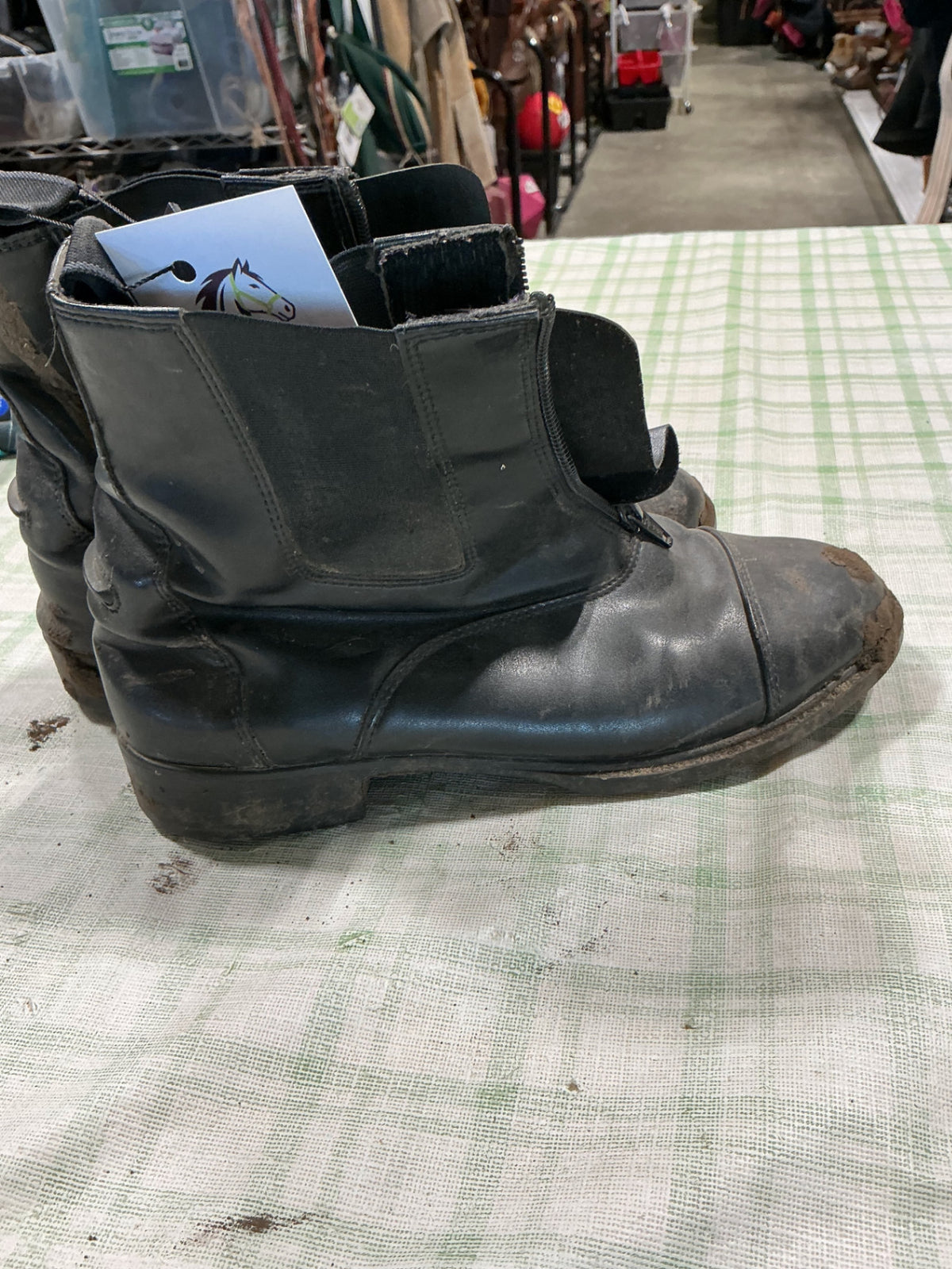 paddock boots 9"