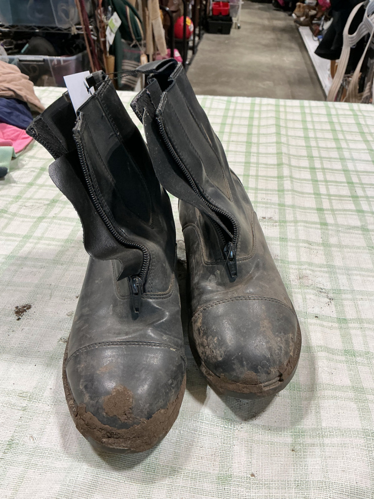 paddock boots 9"