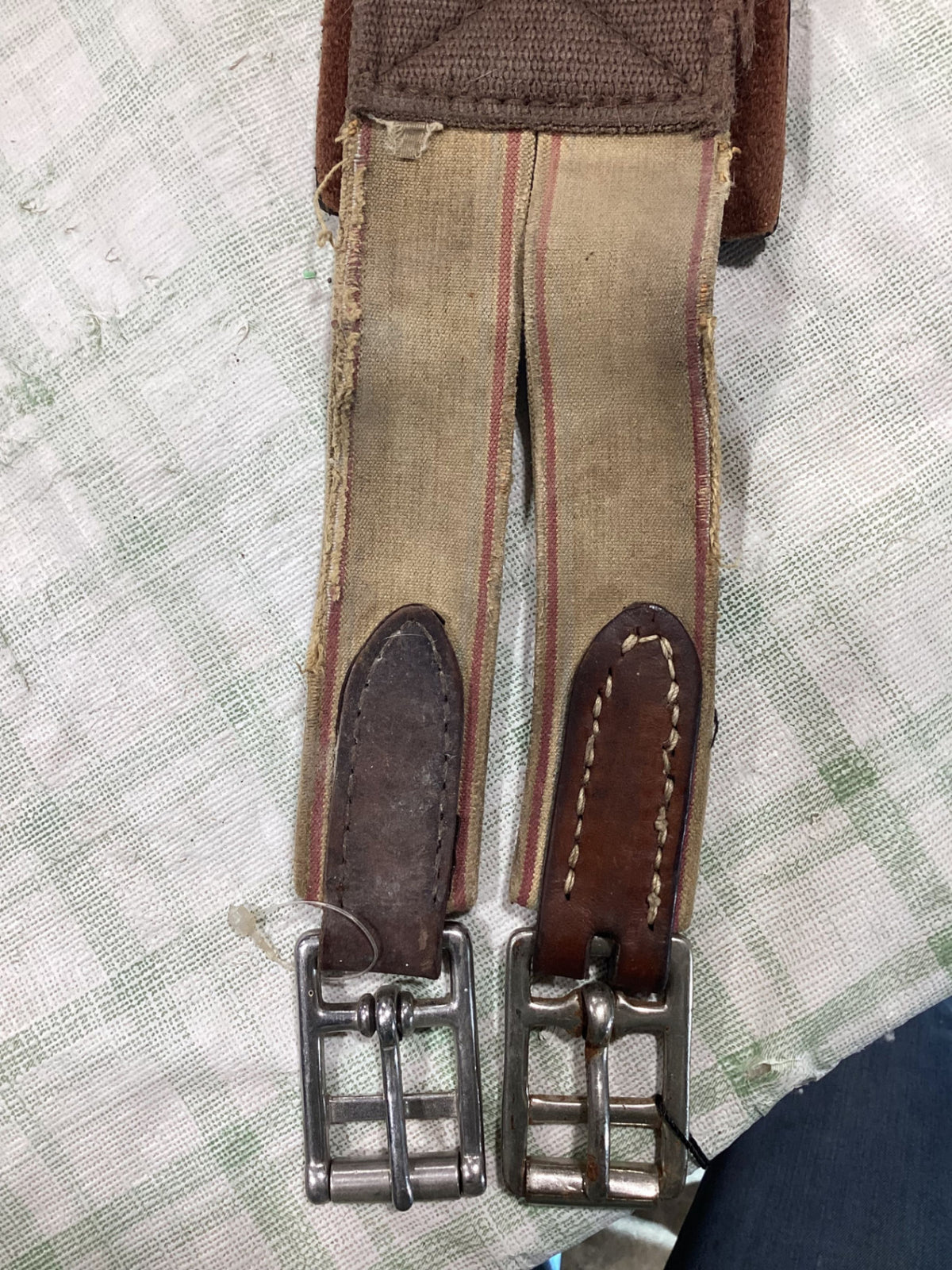 english girth 52"