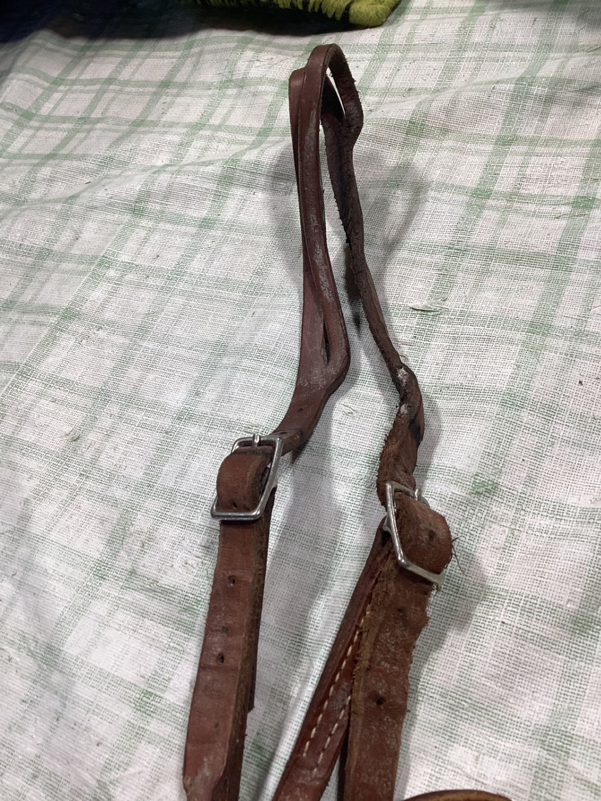 western bridle horse size 
