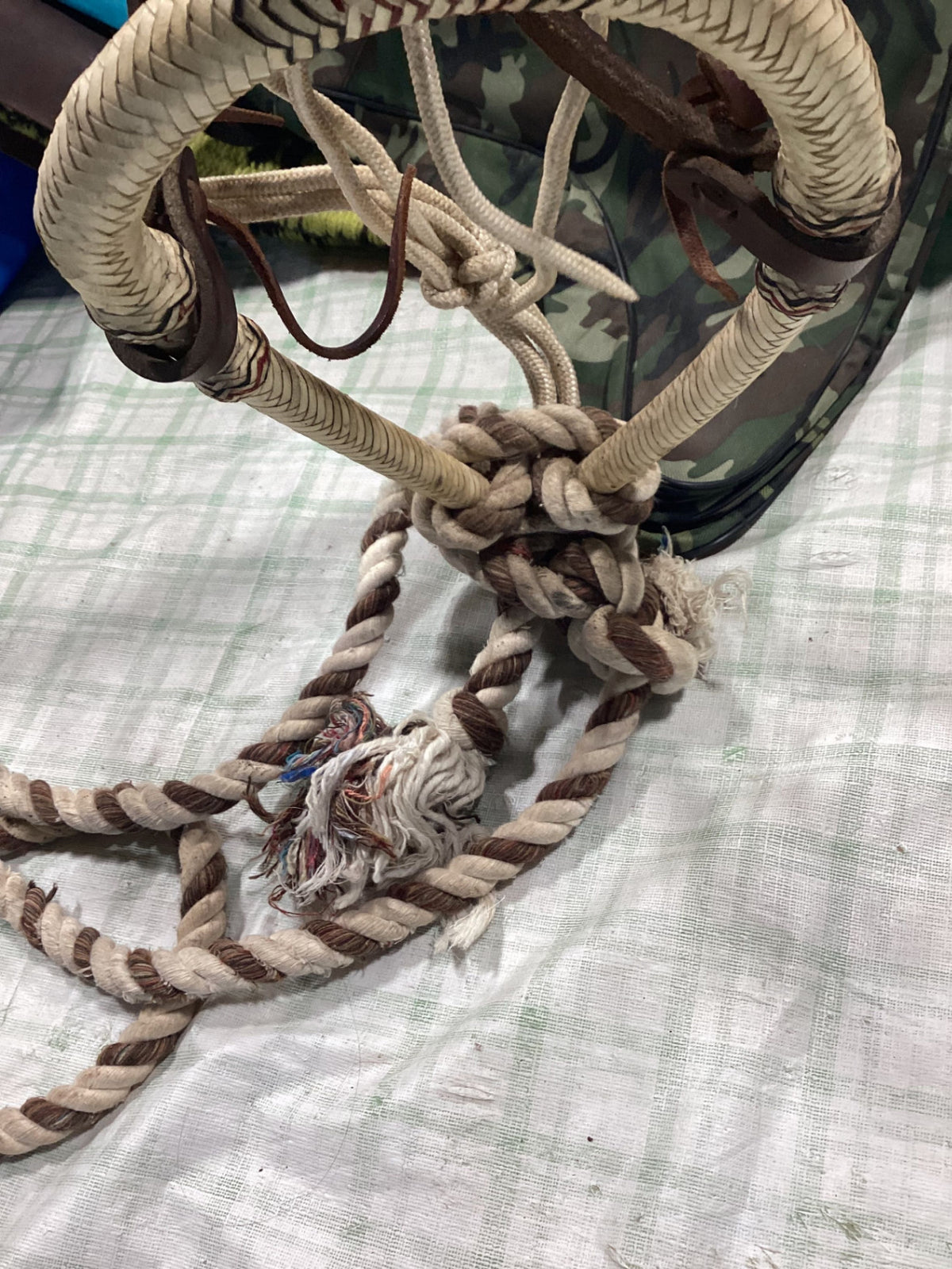 bozel with rope reins and leather strap