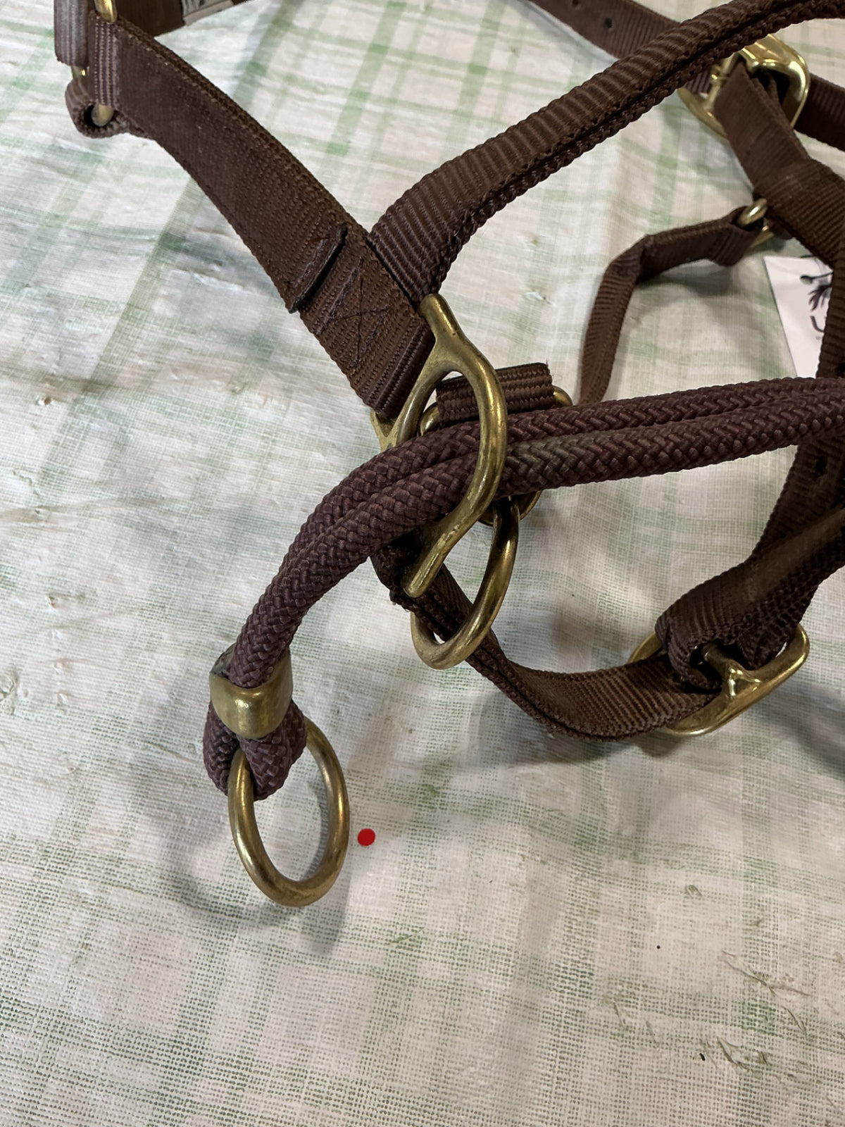 halter/bridle combo nylon 