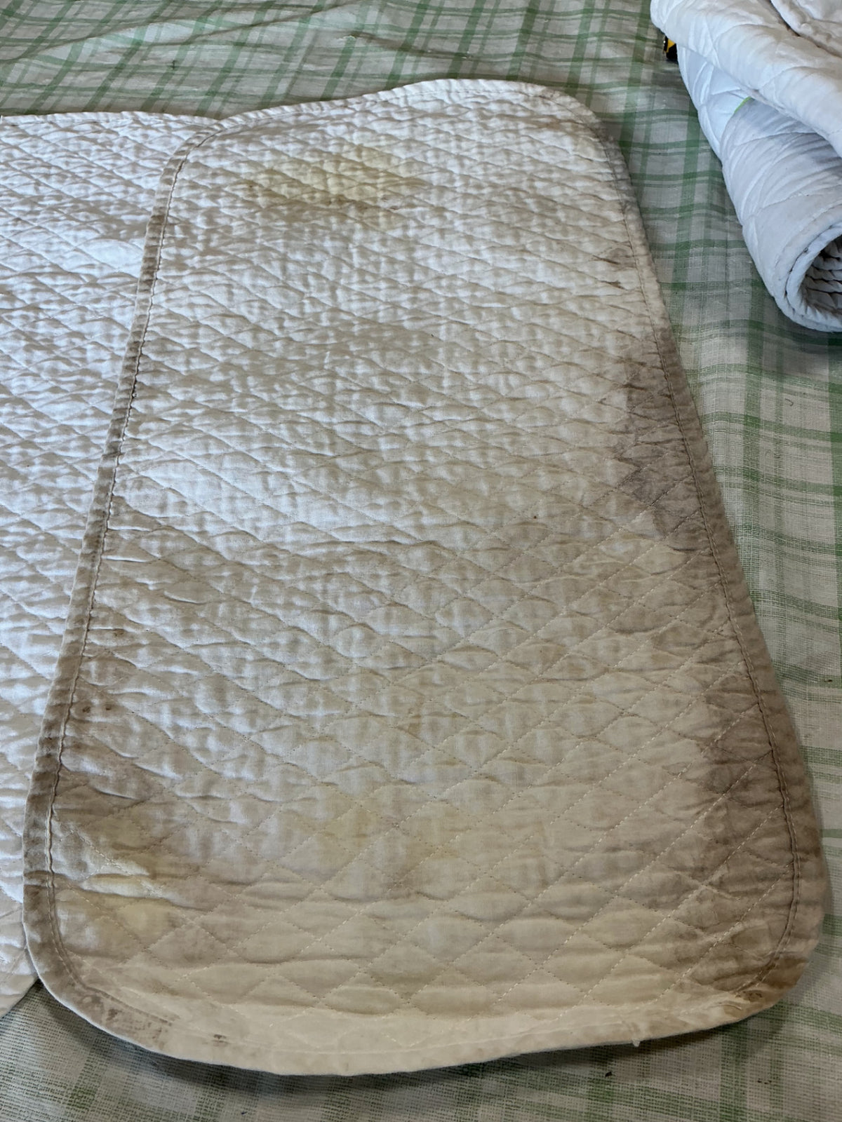 cotton wraps all four cottons 