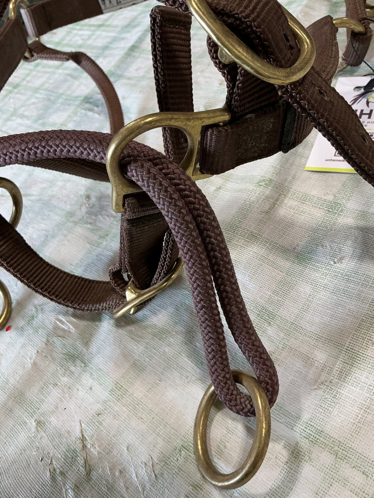 halter/bridle combo nylon 