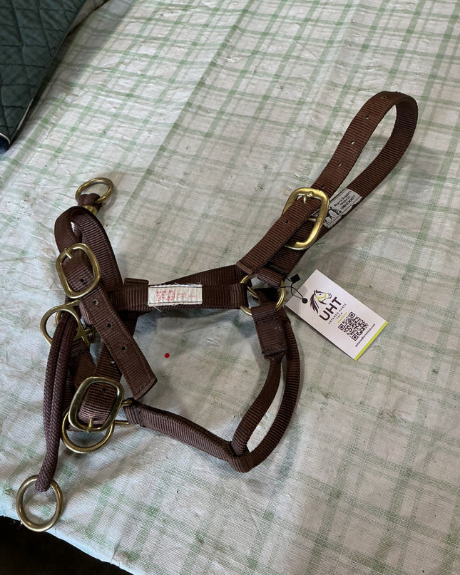 halter/bridle combo nylon 