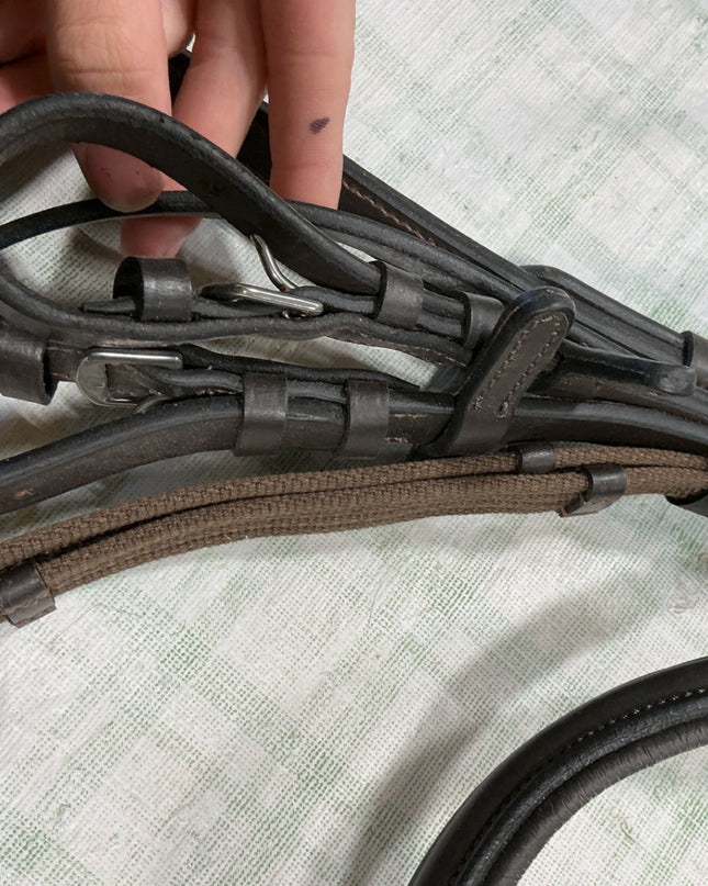 english bitless bridle 
