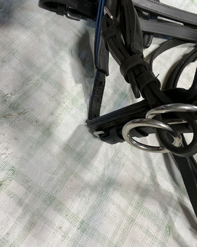 bitless bridle english 