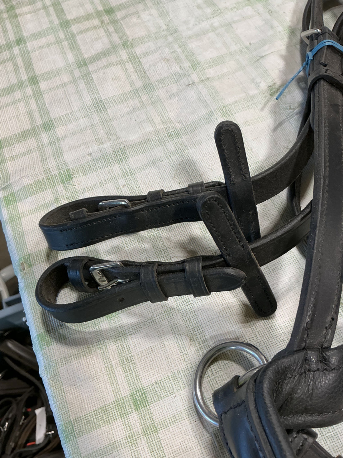bitless bridle english 